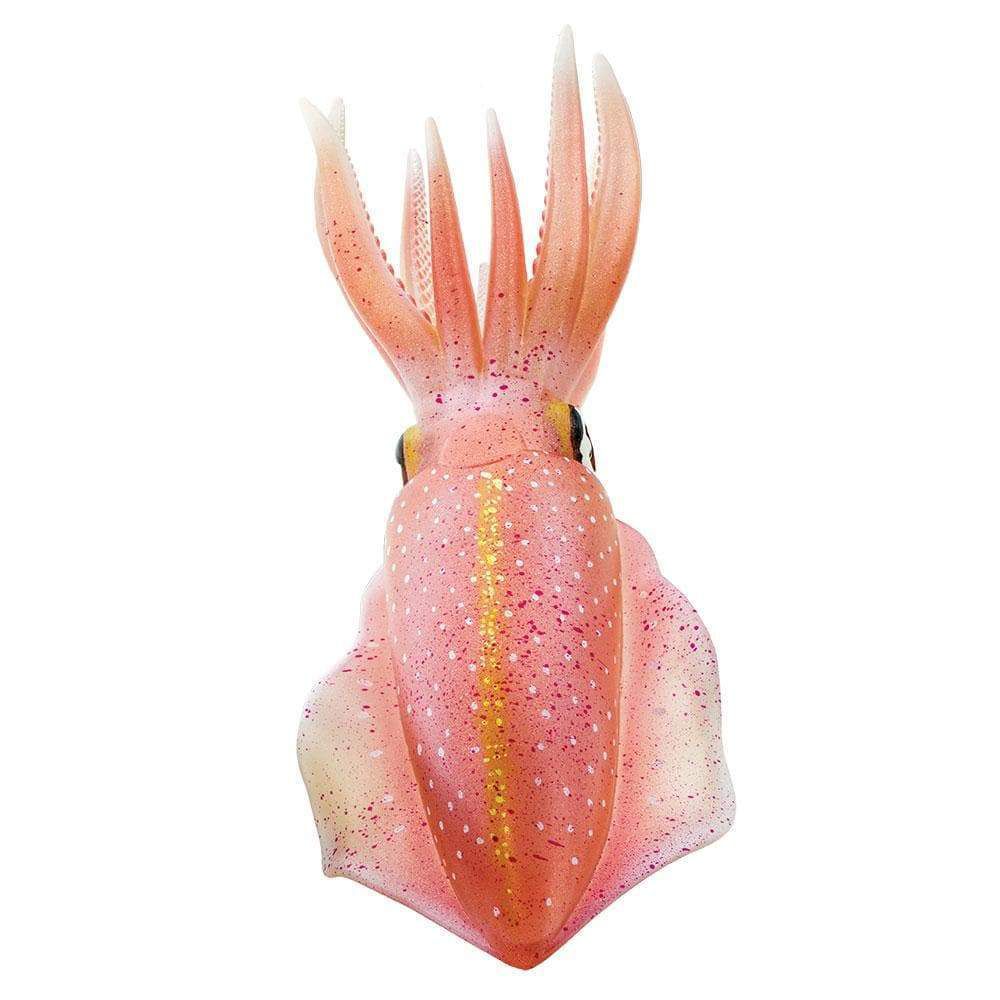 Figura Lula De Recifes Do Caribe (Reef Squid) Safari Ltd.