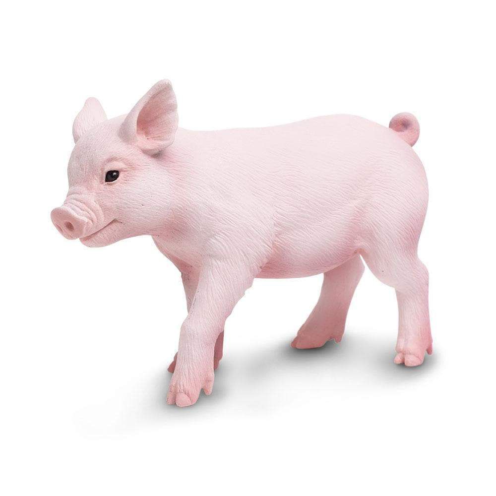 Figura Leitão Filhote Safari Ltd.