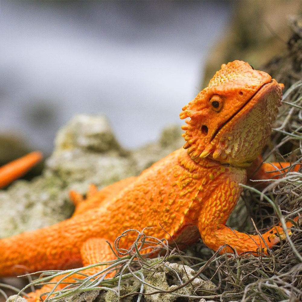 Figura Lagarto Pogona (Dragão-Barbudo) Safari Ltd.