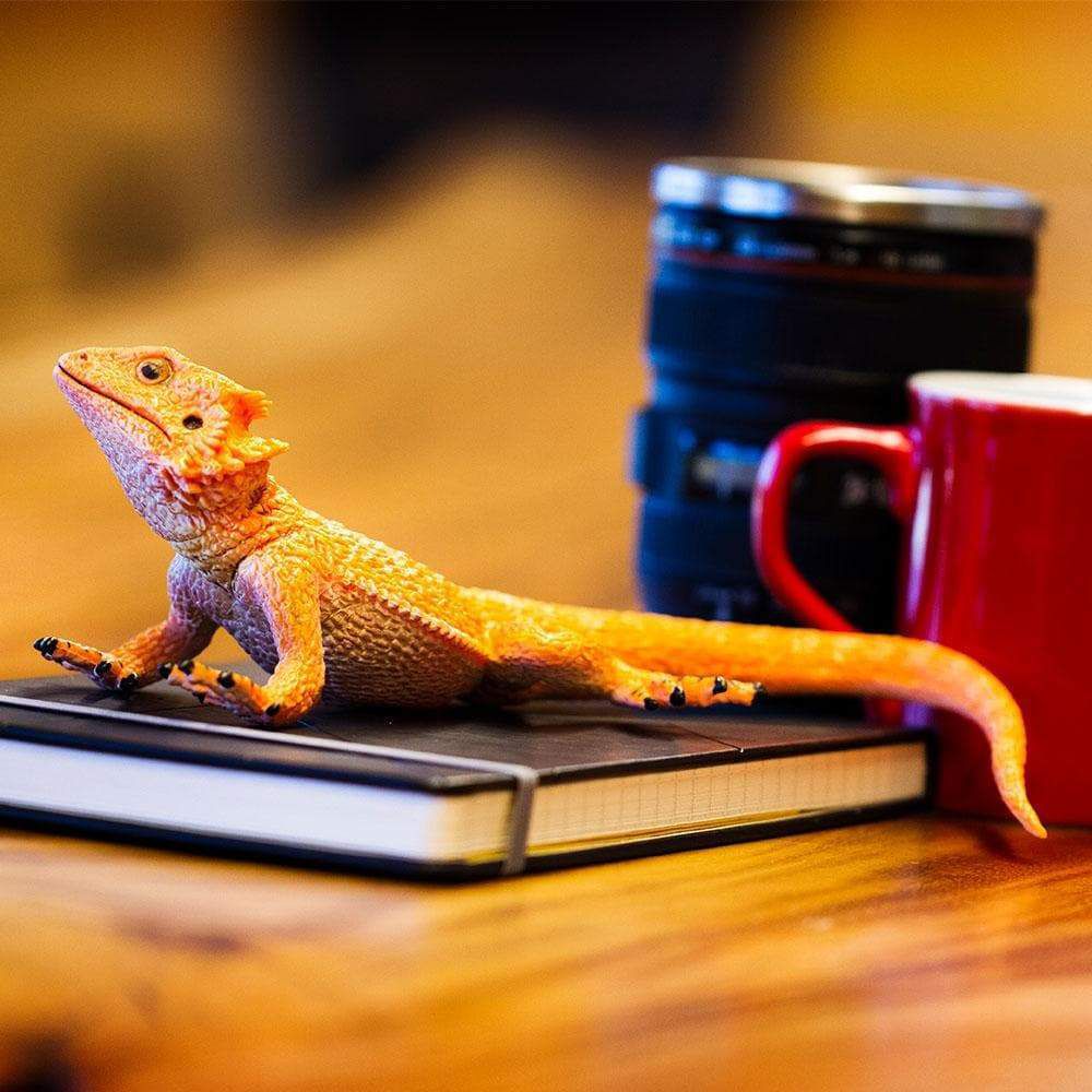 Figura Lagarto Pogona (Dragão-Barbudo) Safari Ltd.