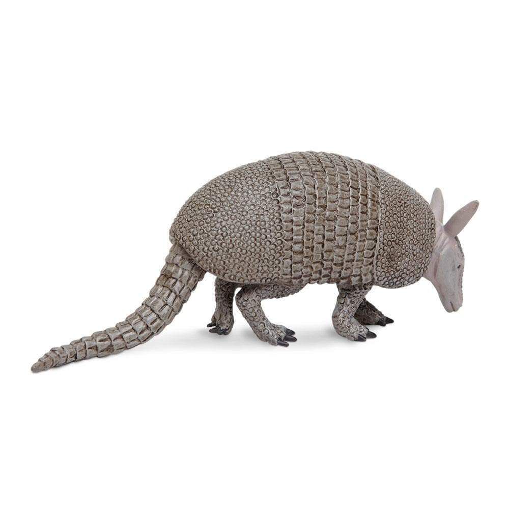 Figura Tatu Canastra Safari Ltd.
