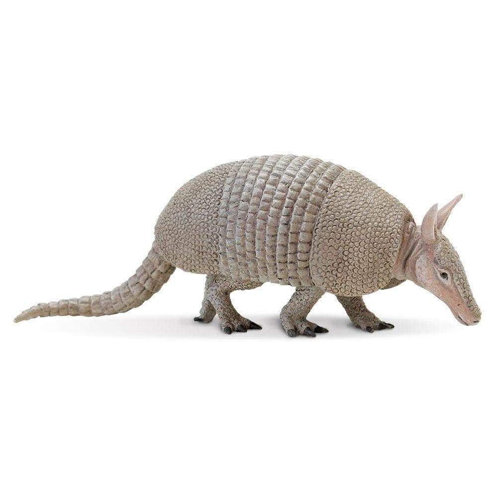 Figura Tatu Canastra Safari Ltd.