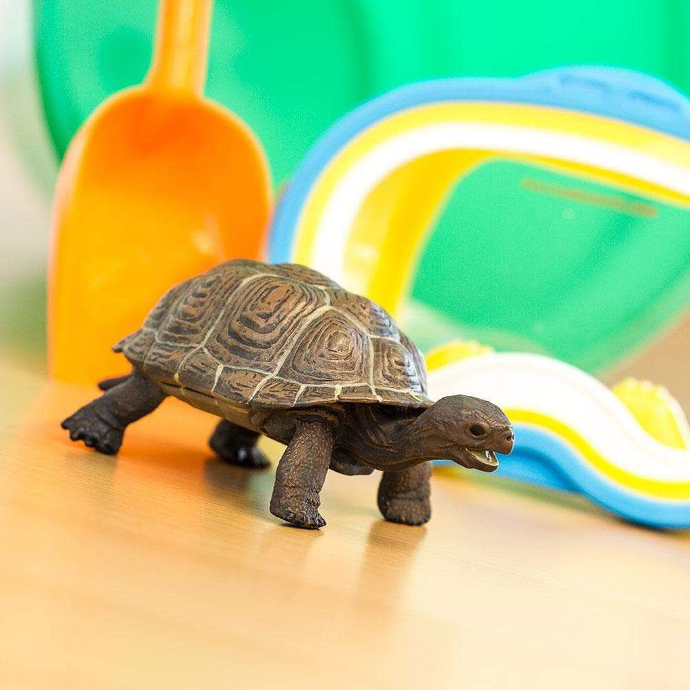 Figura Tartaruga Filhote Safari Ltd.