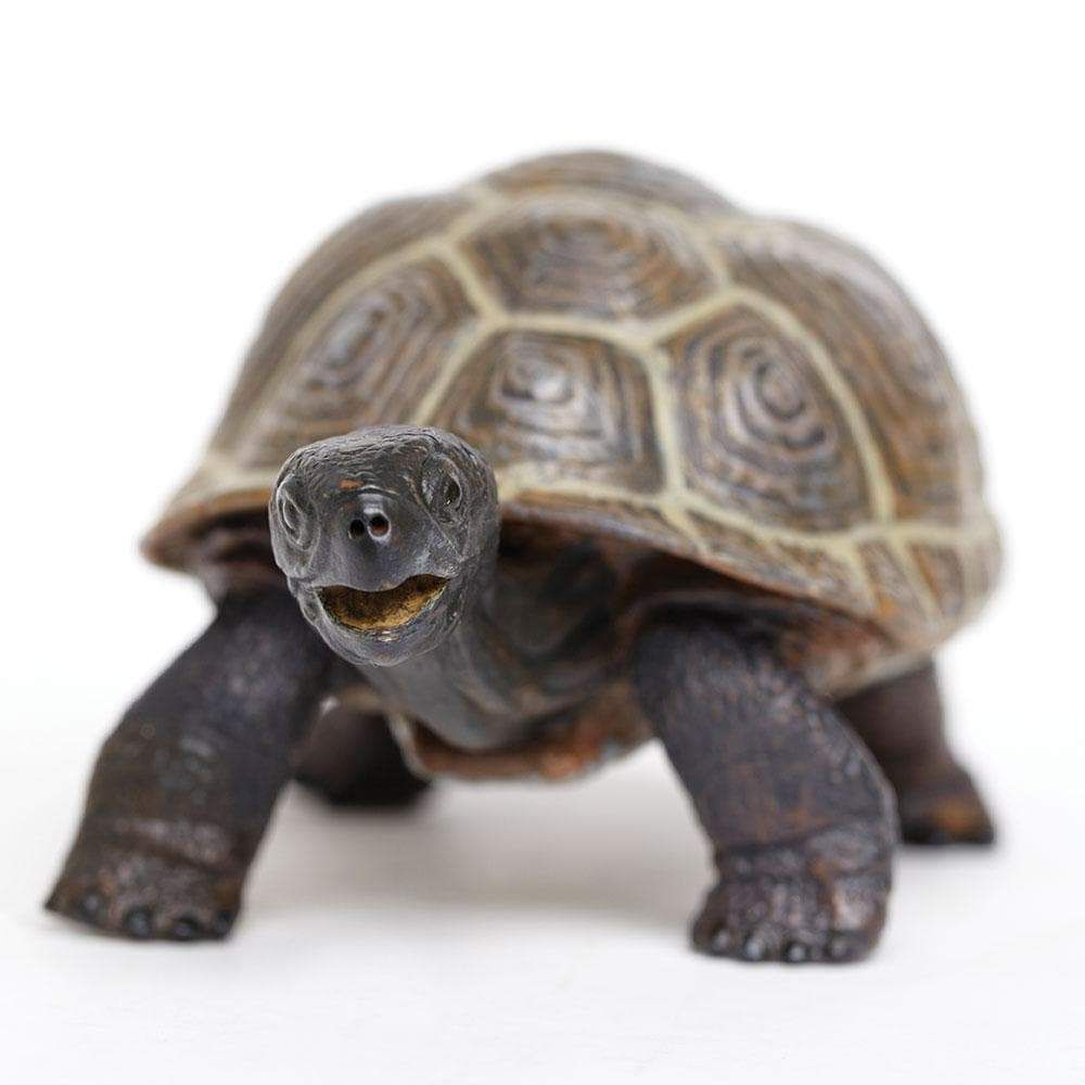 Figura Tartaruga Filhote Safari Ltd.