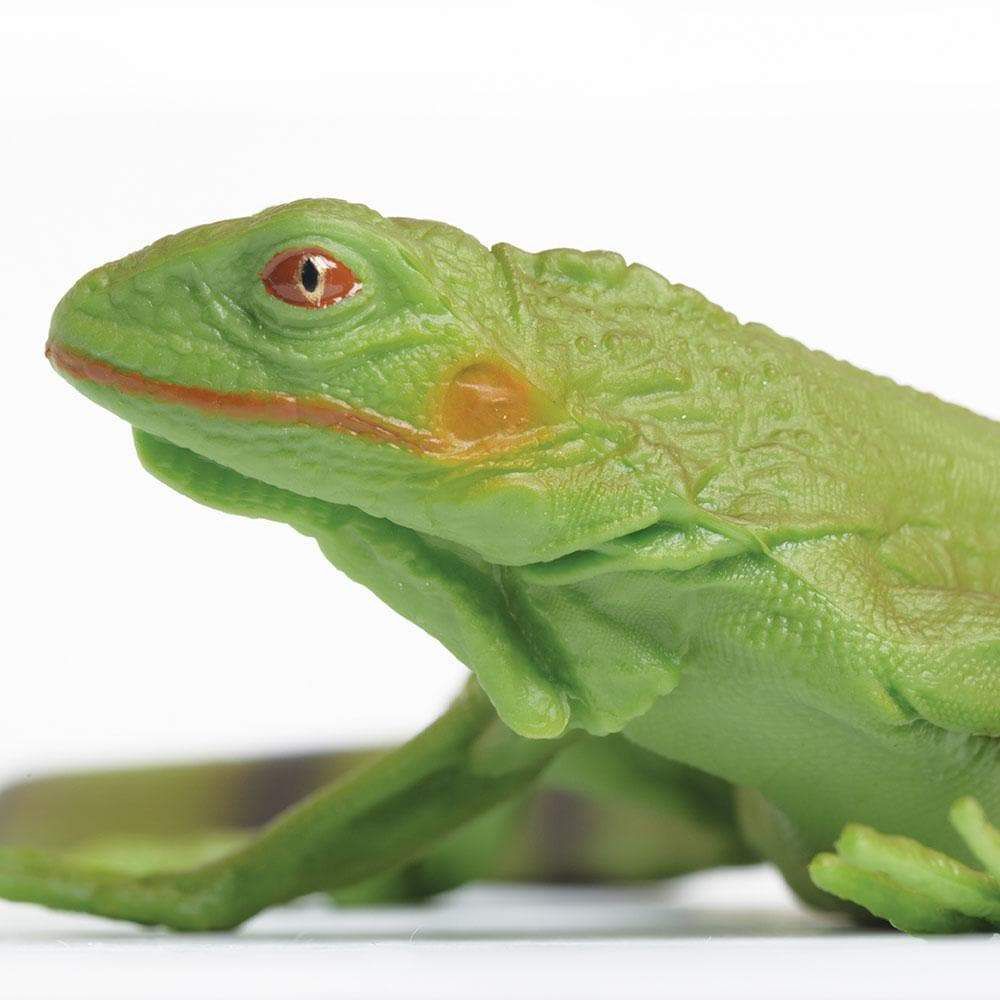 Figura Iguana Filhote Safari Ltd.