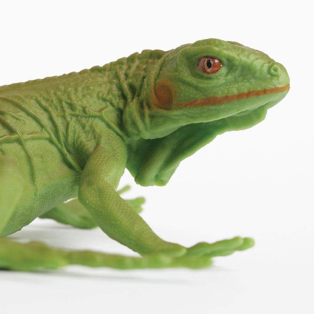 Figura Iguana Filhote Safari Ltd.