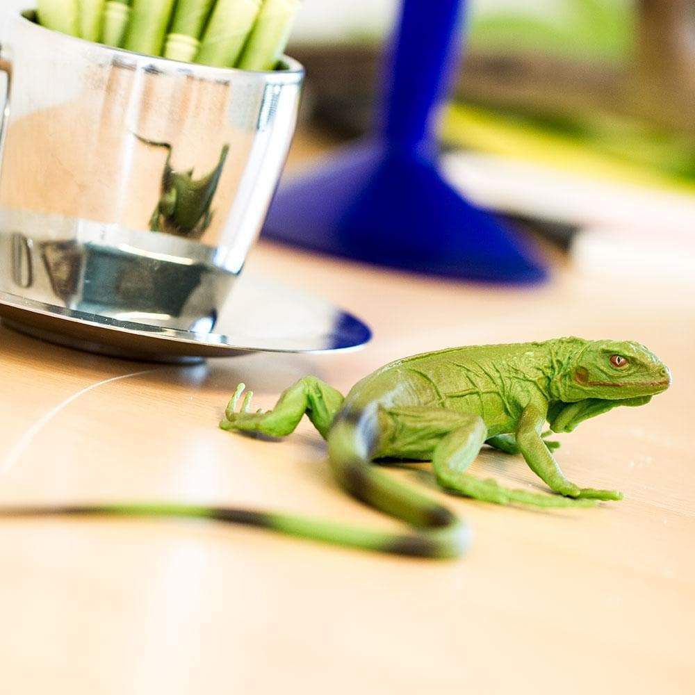 Figura Iguana Filhote Safari Ltd.