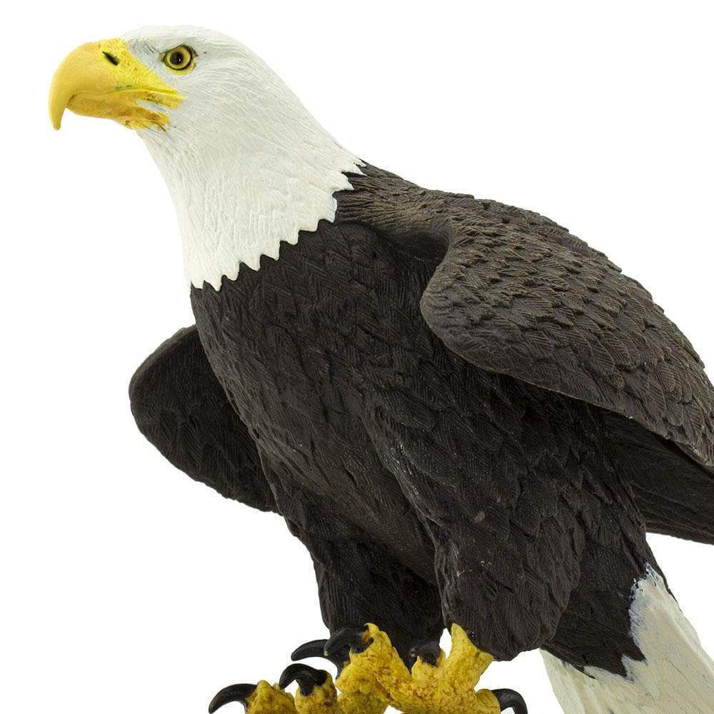 Figura Águia De Cabeça Branca (Bald Eagle) Safari Ltd.