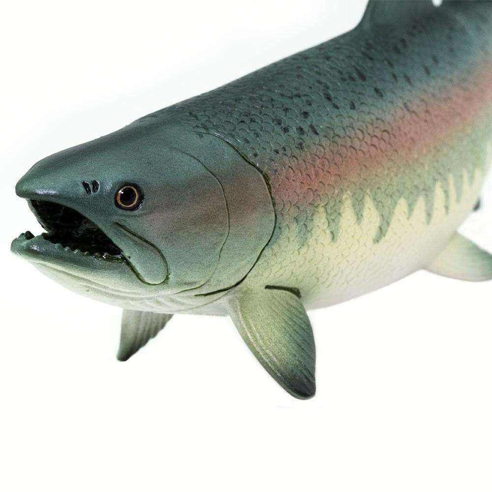 Figura Salmão Safari Ltd.
