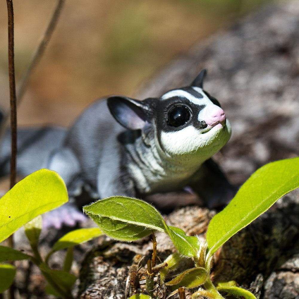 Figura Petauro-do-Açúcar (Sugar Glider) Safari Ltd.