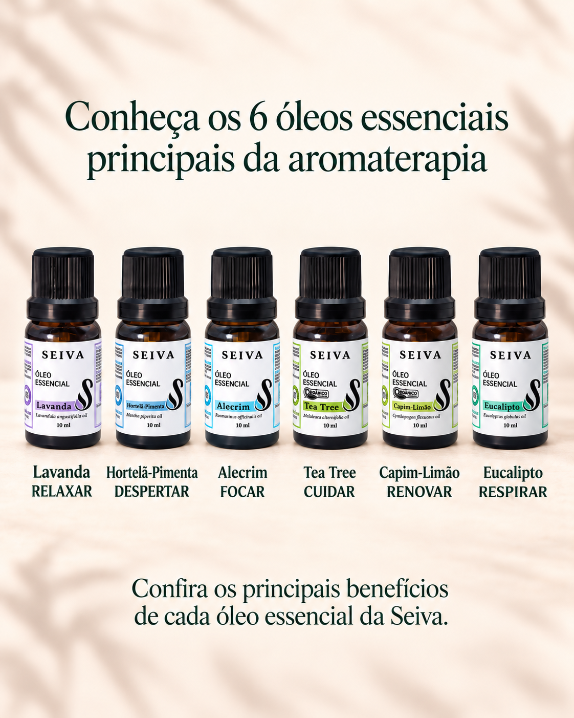 Combo Óleos Essenciais + Grátis Bolsinha de Crochê - OE Lavanda, Hortelã Pimenta, Alecrim, Capim Limão, Tea Tree e Eucalípto