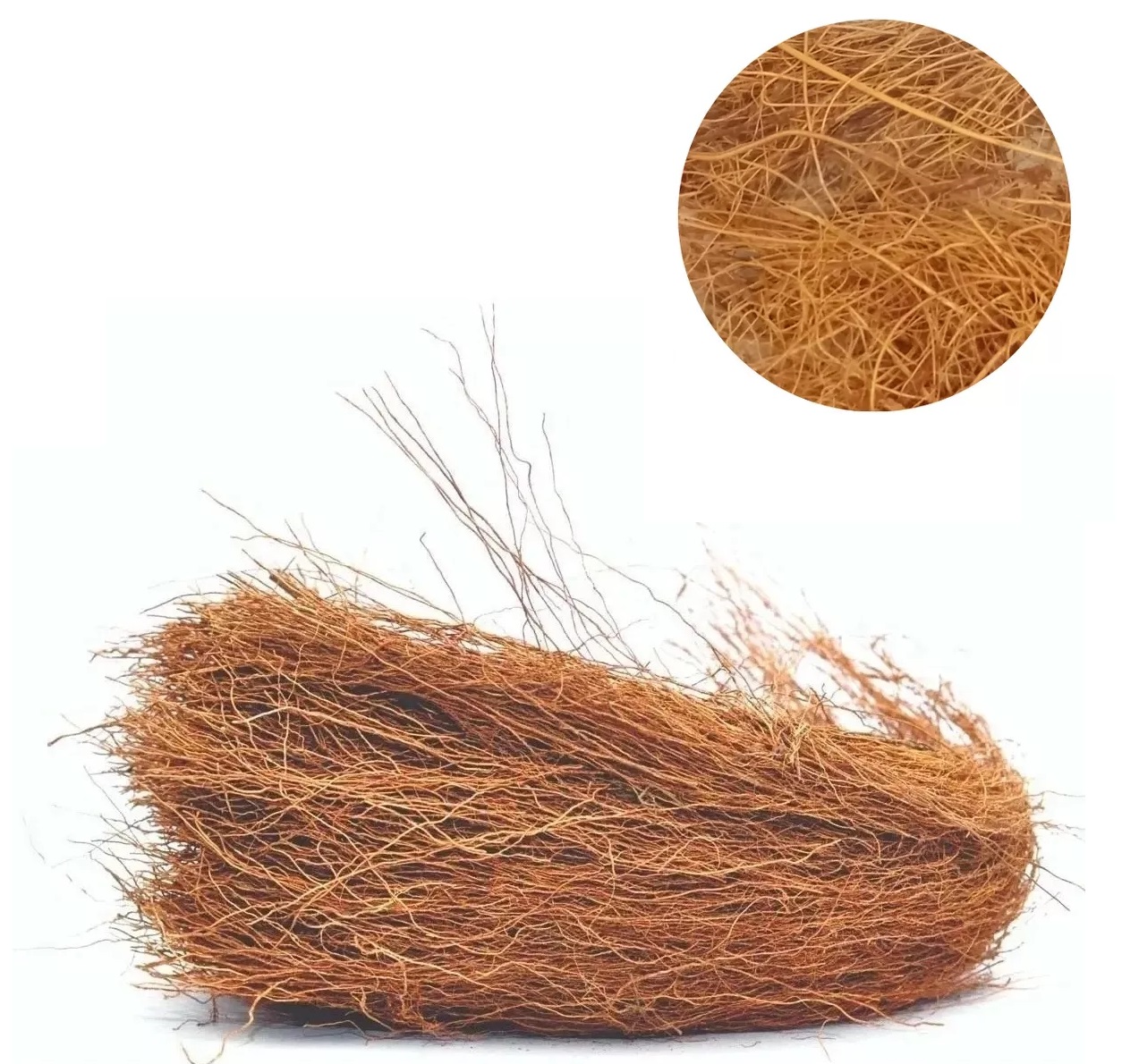 Palha De Coco P/ Forração de Ninhos Pássaros Fibra Do Coco Cartela com 10 Unidades