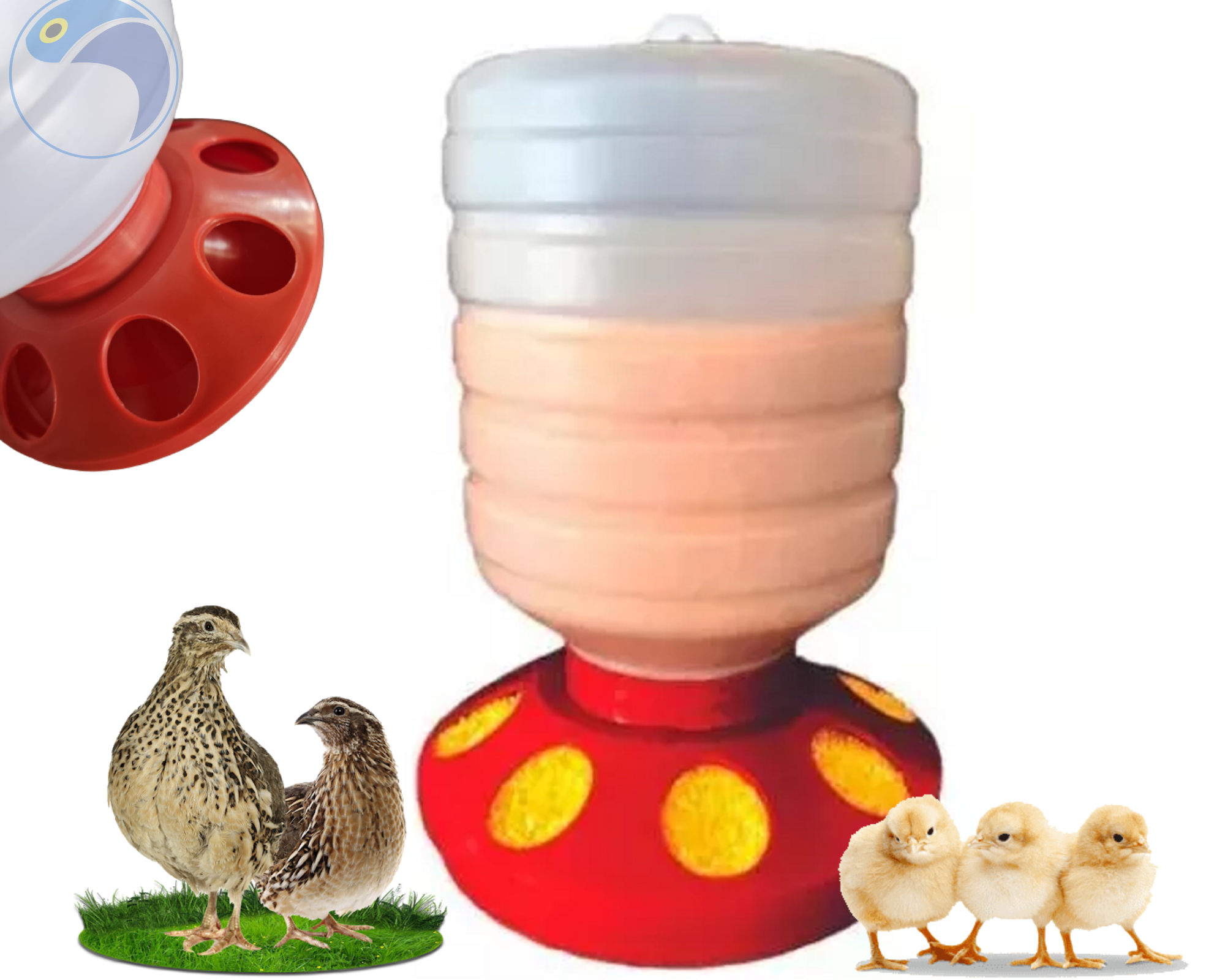 Comedouro Aves 1,5kg 8 Furos Para Frango Galinha Galo Cordornas Pintinhos Uso em Galinheiros