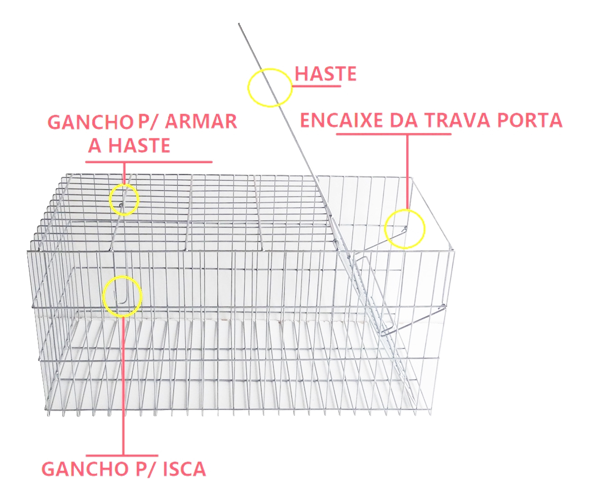 Gaiola Armadilha Gatoeira Distribuipet Para Gatos Gambas Sarues Uso Veterinário