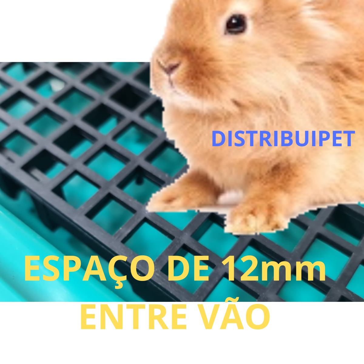 Bandeja Sanitário Saniplus Para Mini Coelho Porquinho da India Chinchila Cor Vermelho