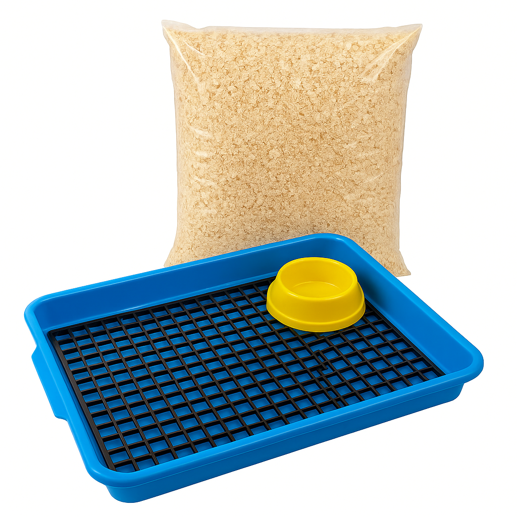 Kit Bandeja Sanitário Saniplus + Serragem e Comedouro Para Mini Coelho Porquinho da India Chinchila Cor Azul
