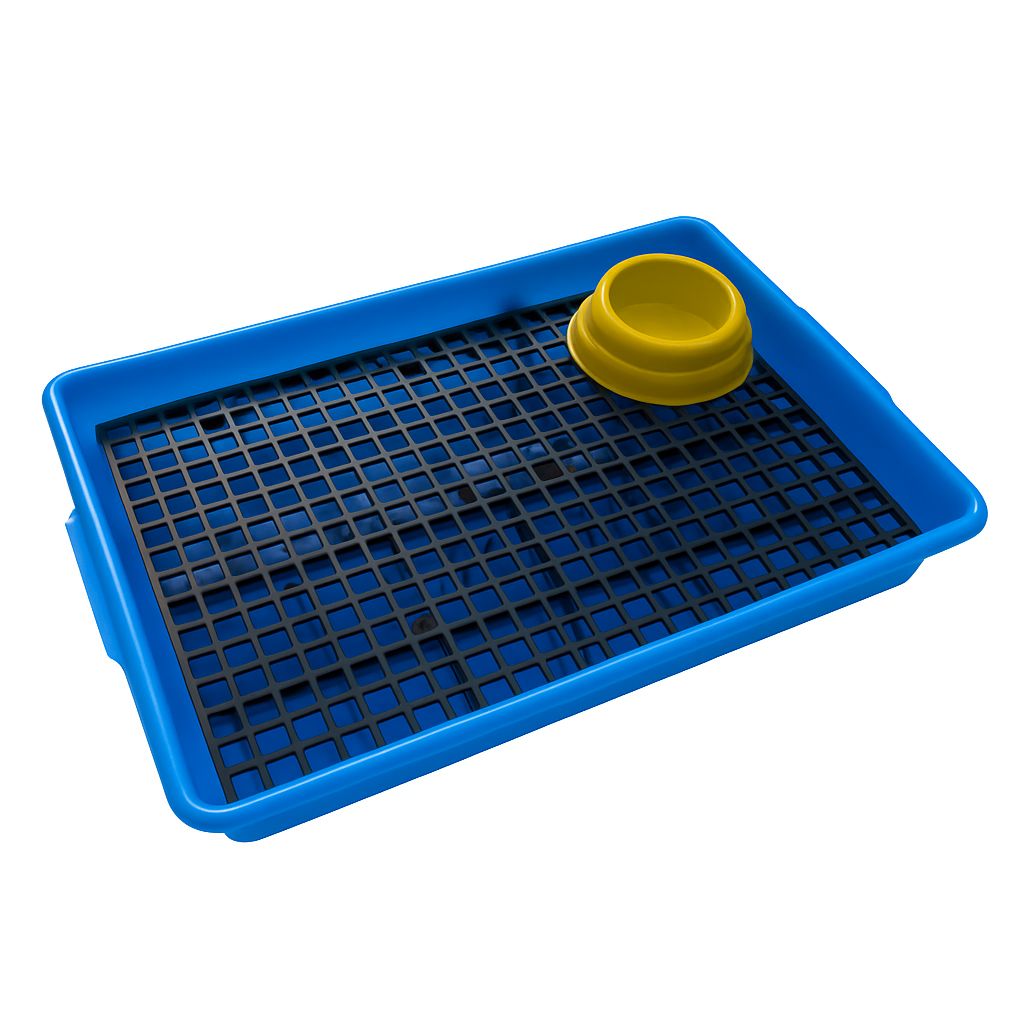 Kit Bandeja Sanitário Saniplus + Serragem e Comedouro Para Mini Coelho Porquinho da India Chinchila Cor Azul