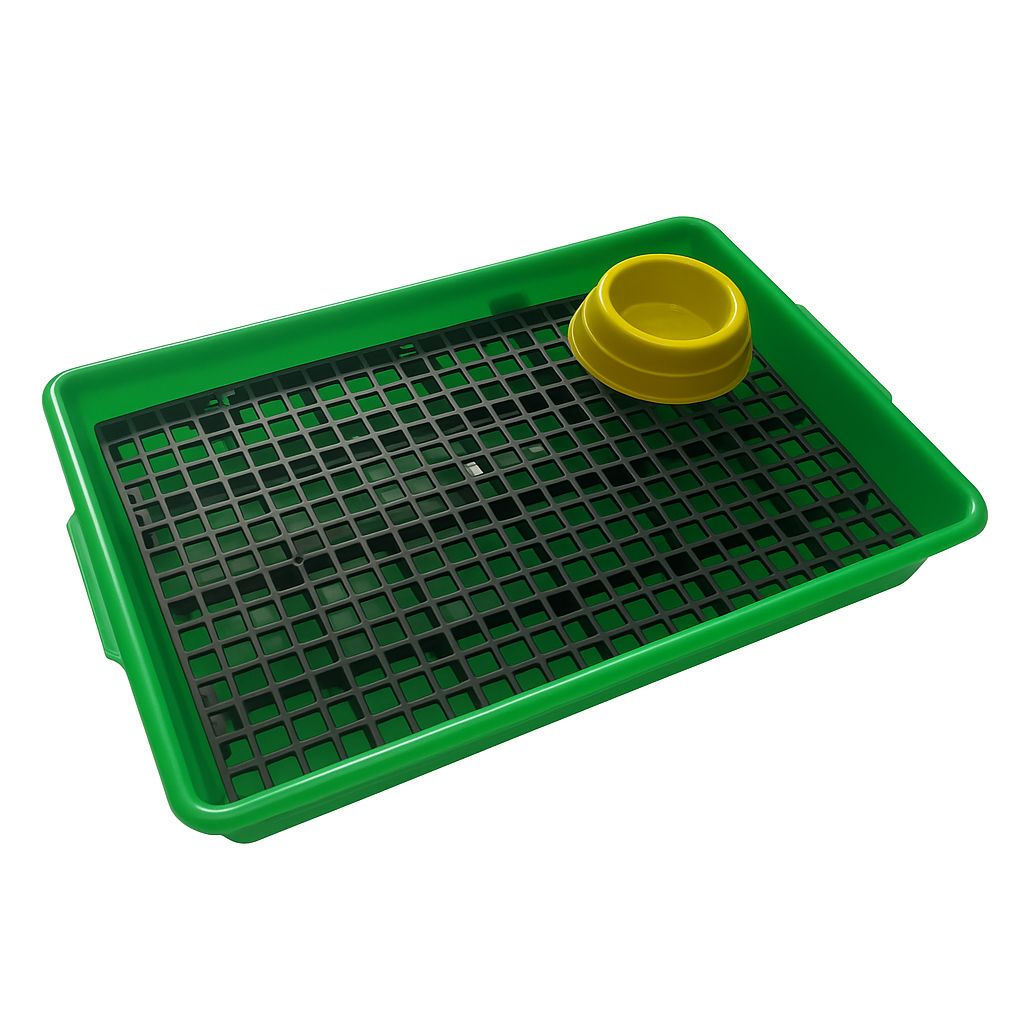 Kit Bandeja Sanitário Saniplus + Serragem e Comedouro Para Mini Coelho Porquinho da India Chinchila Cor Verde