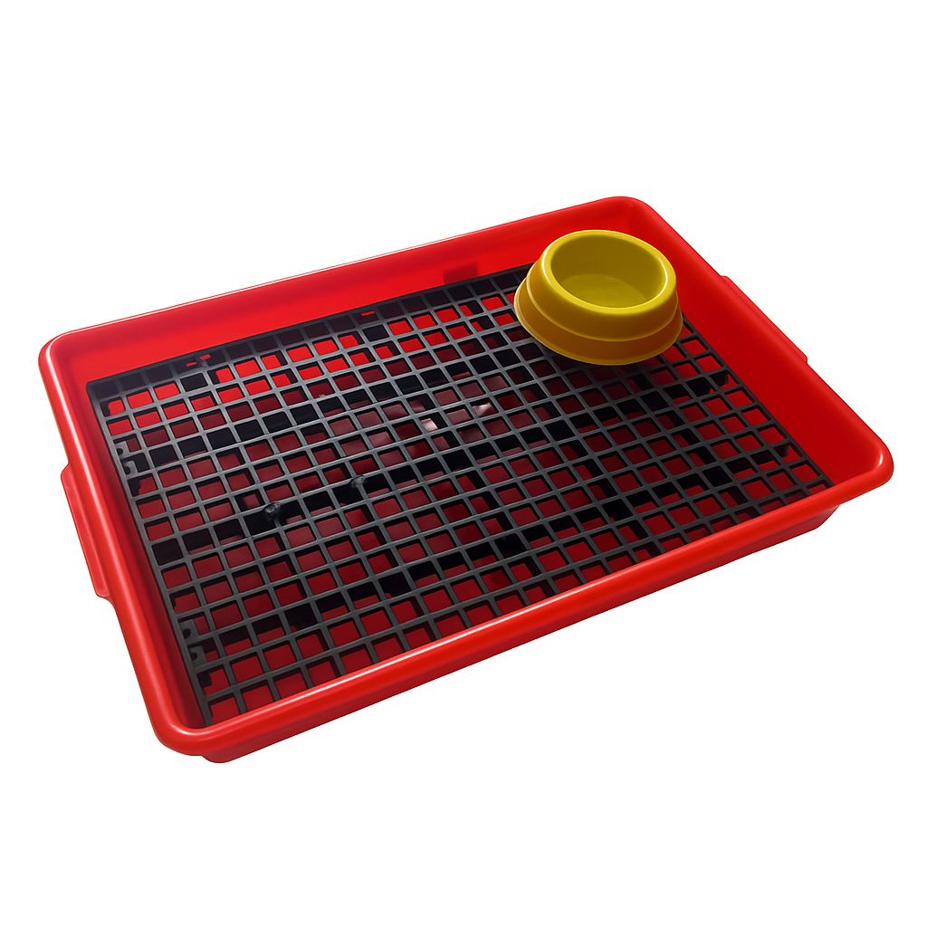 Kit Bandeja Sanitário Saniplus + Serragem e Comedouro Para Mini Coelho Porquinho da India Chinchila Cor Vermelho