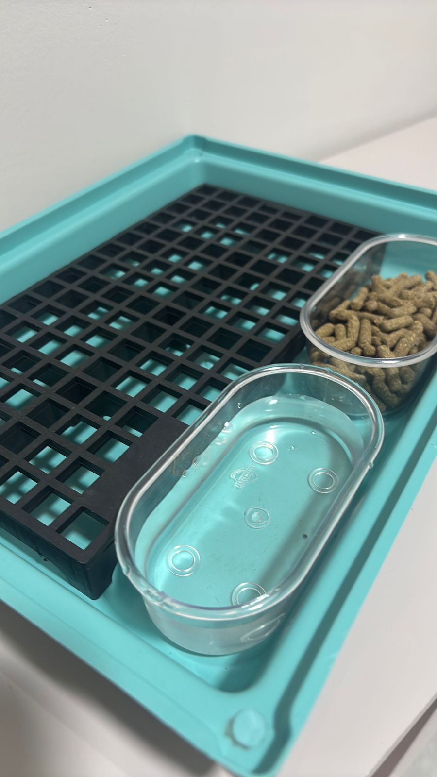 Bandeja Com Grade Banheiro Sanitário Para Porquinho da India Saniplus Junior Cor Verde Com 2 Banheira Oval