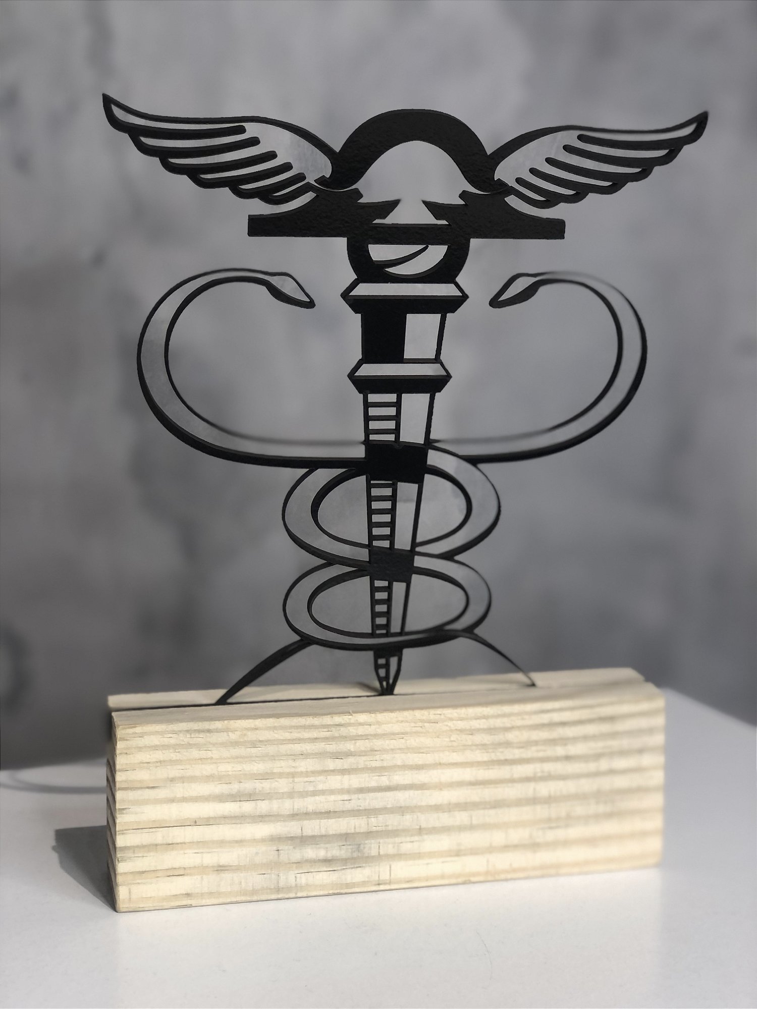 Escultura Símbolo da Contabilidade com Base de Madeira Presente para Contador