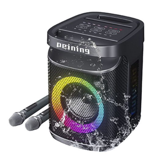 PEINING CAIXA DE SOM BT COM 2 MICROFONE S/FIO PEI-SP03