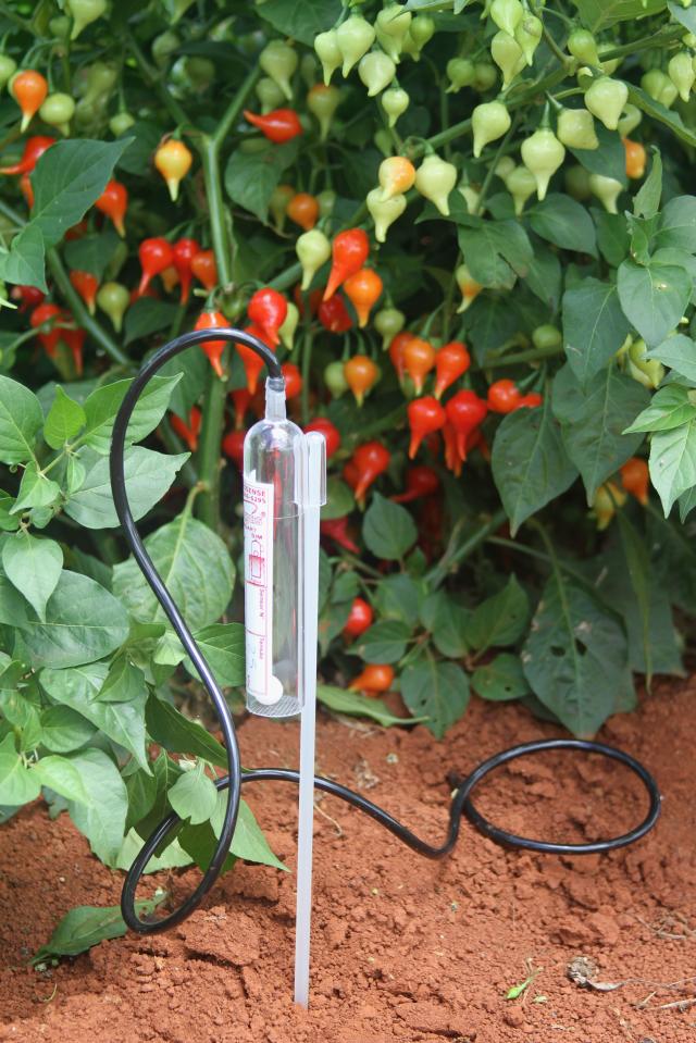 Sensor Irrigas Básico