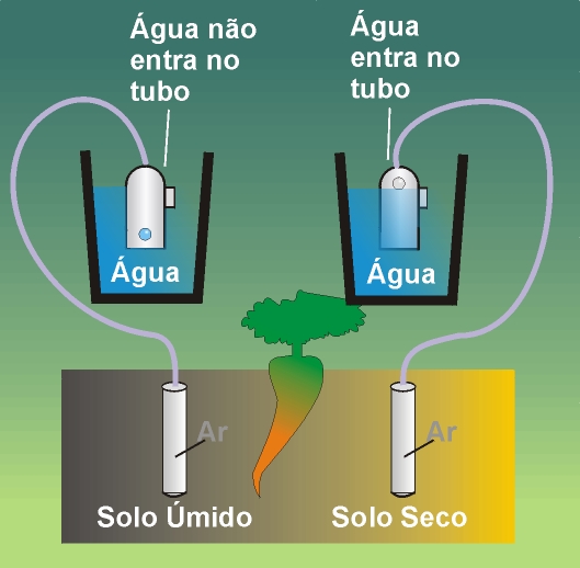 Sensor Irrigas Básico