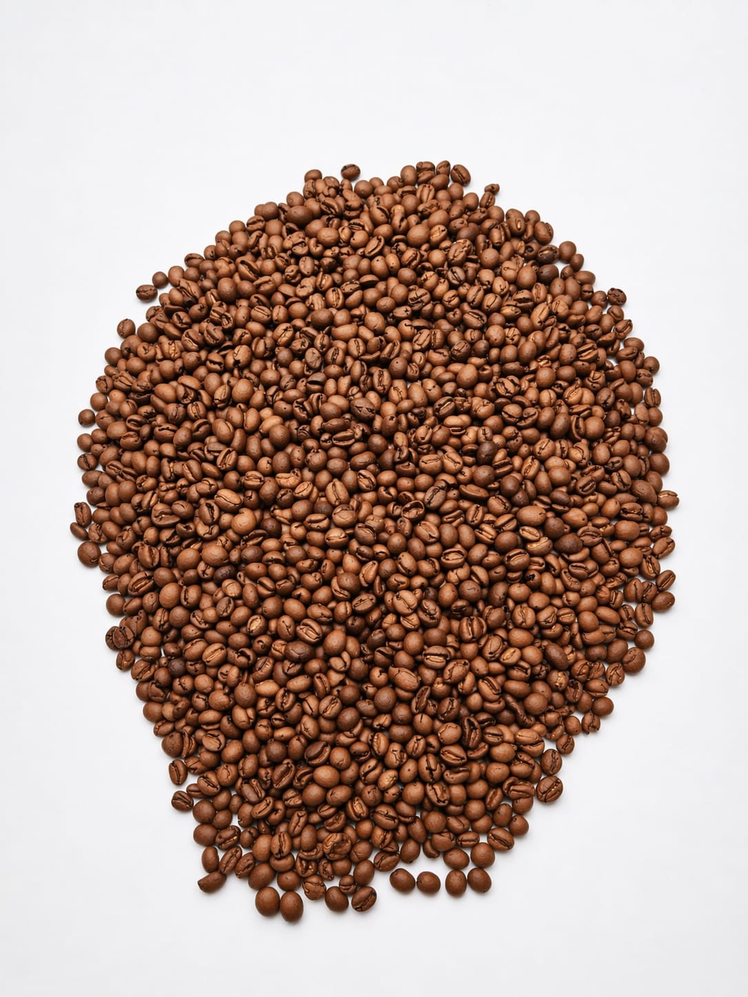 Café Especial Moca - Fazenda Santa Bárbara