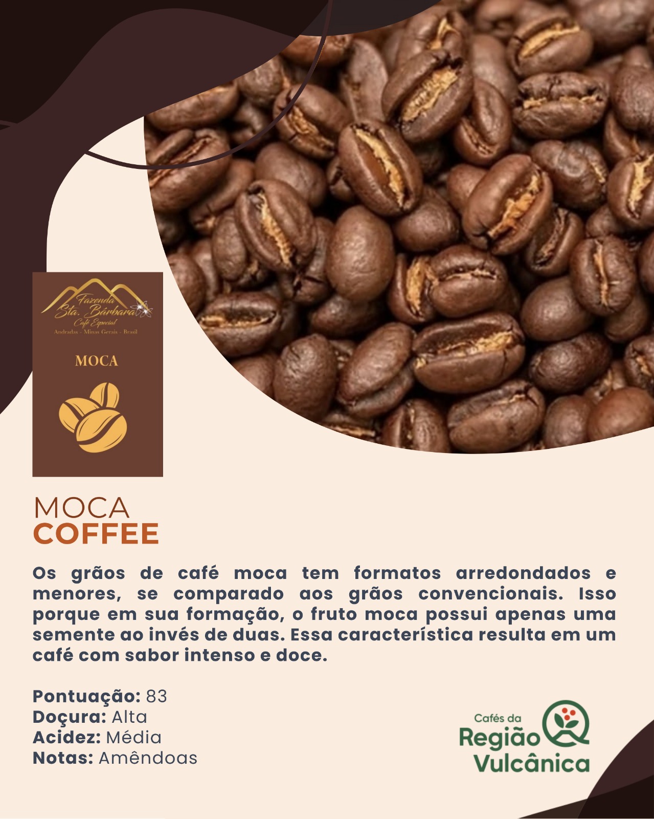 Café Especial Moca - Fazenda Santa Bárbara