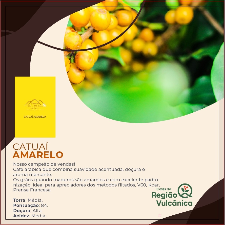 Café Especial Fazenda Sta Bárbara - Catuaí Amarelo