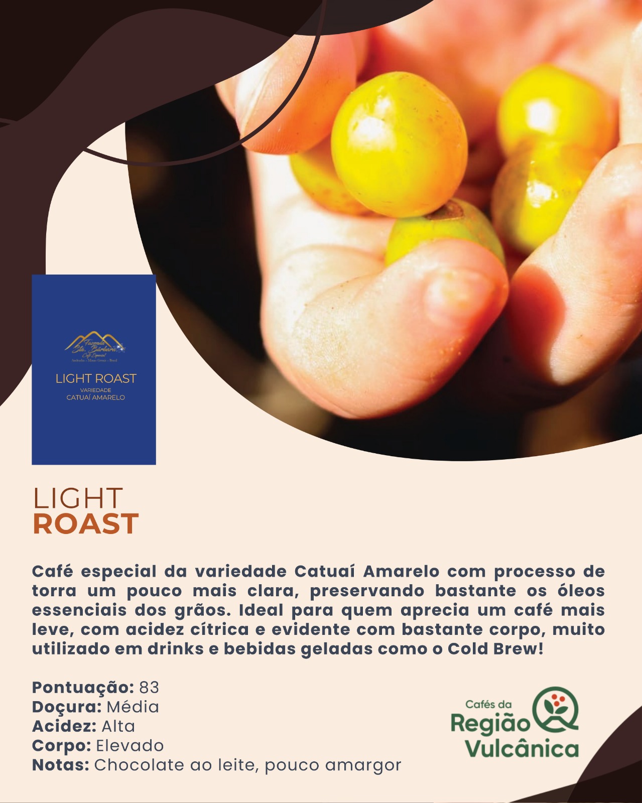 Café Especial Fazenda Sta Bárbara - Light Roast