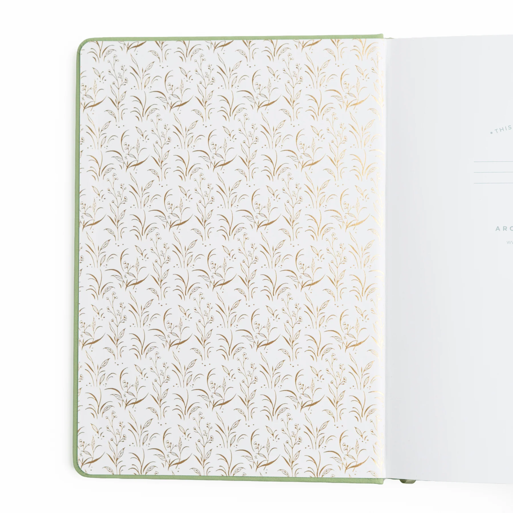 Journal Turtle - Archer & Olive