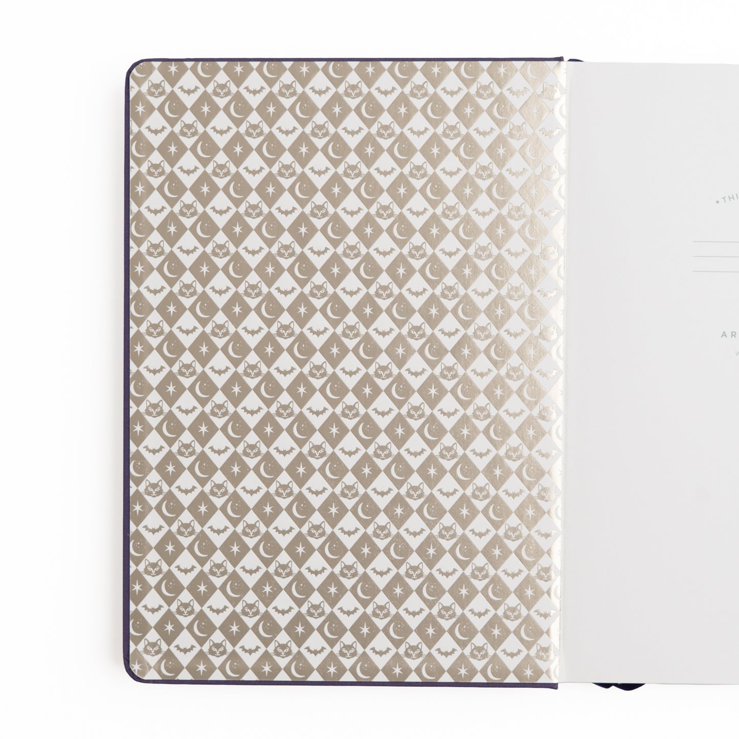 Journal Bewitched - Archer & Olive
