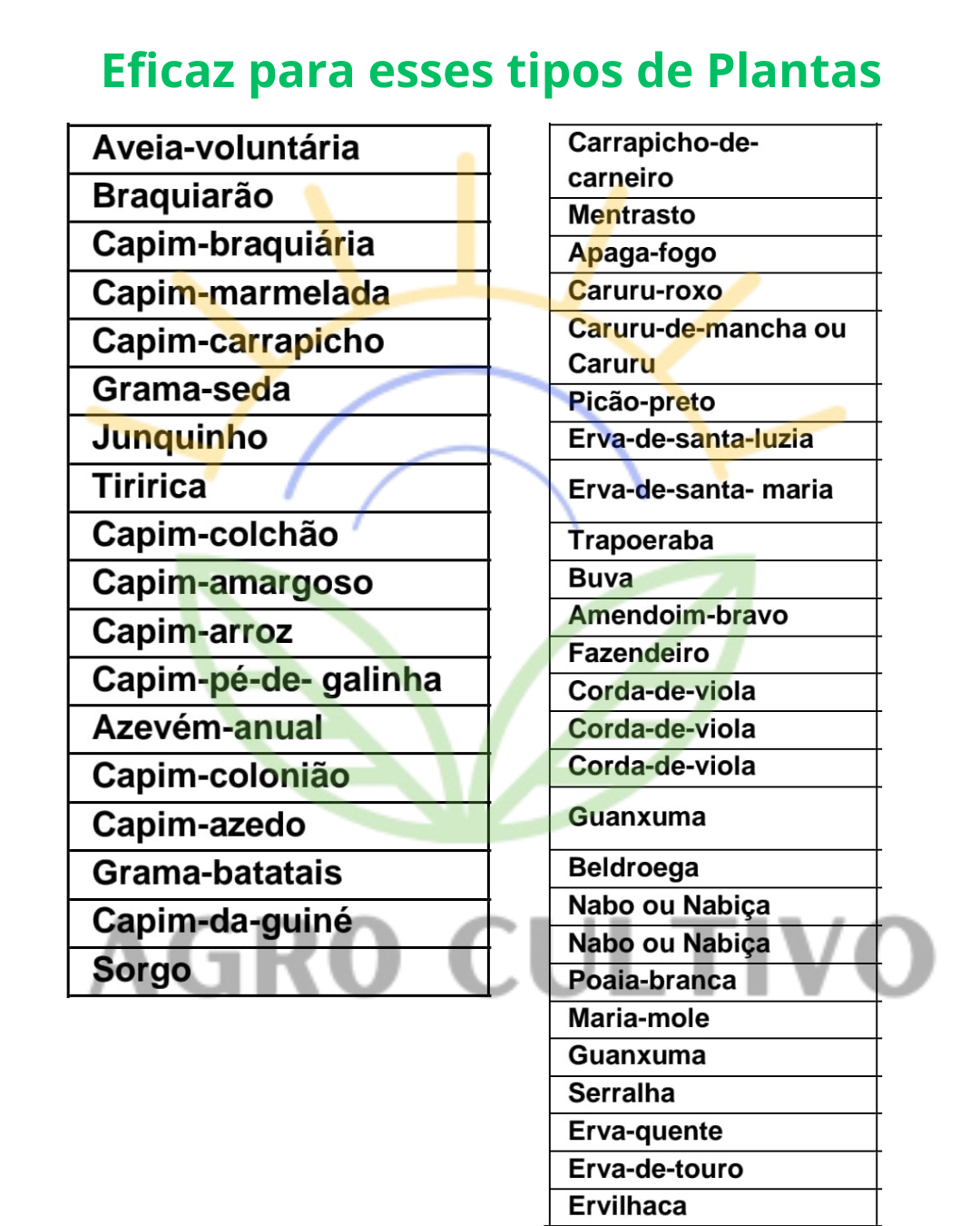 Herbicida Mata Mato Randap Roundup Ultra WG Granulado (CX) 20kg - Monsanto