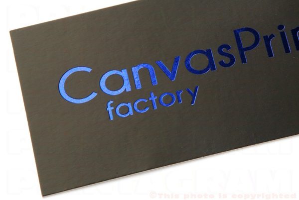 1000 Cartão de Visitas Hot Stamping Azul Toque Aveludado (Soft Touch)