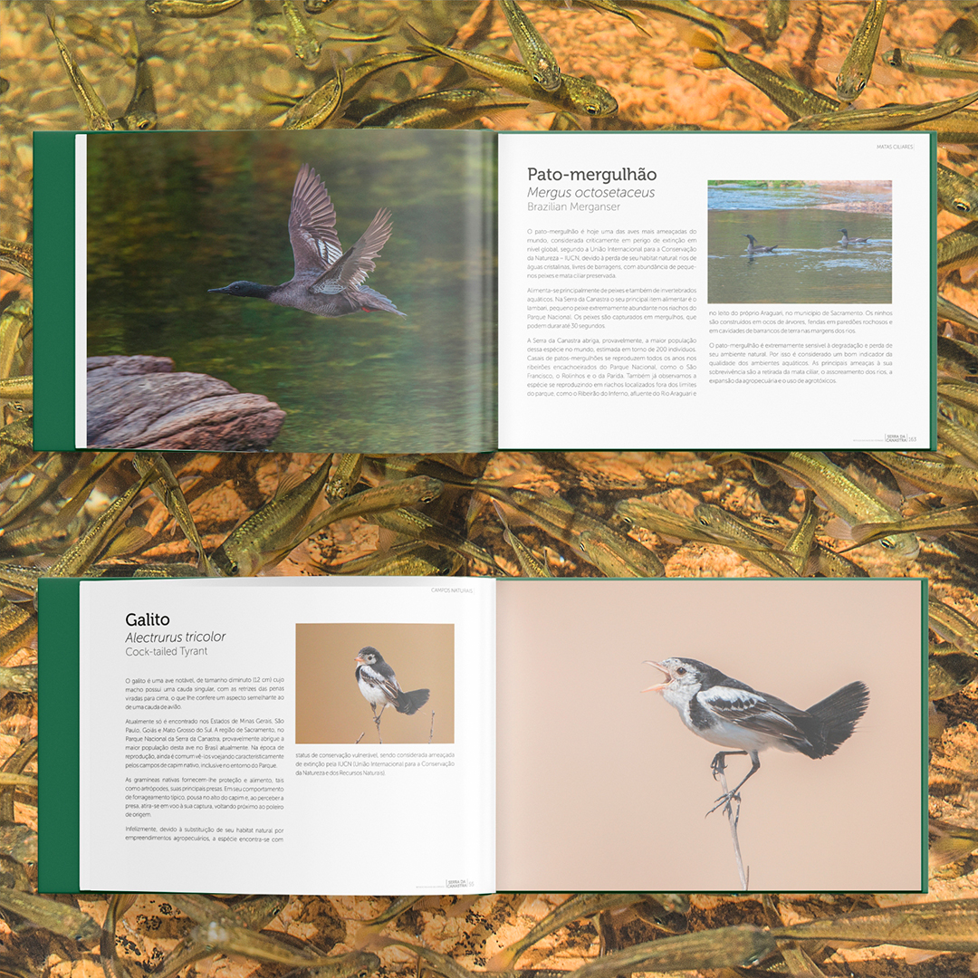 Livro Serra da Canastra - Refúgio das Aves