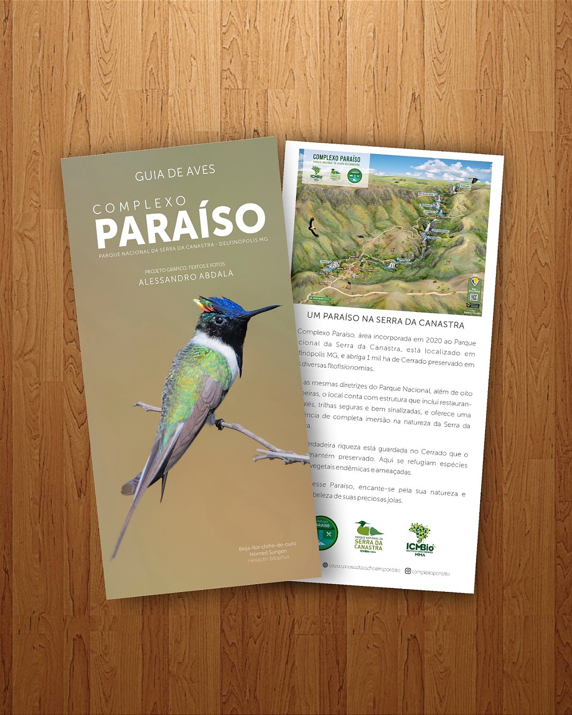 Guia de Aves do Complexo Paraíso