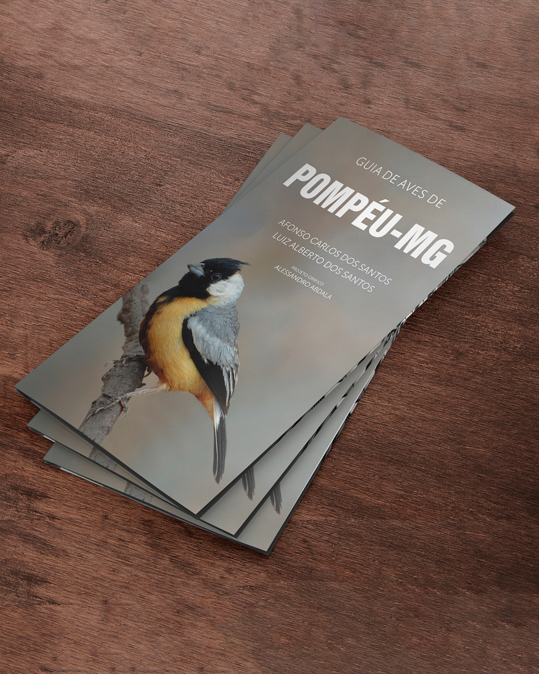 Guia de Aves de Pompéu MG