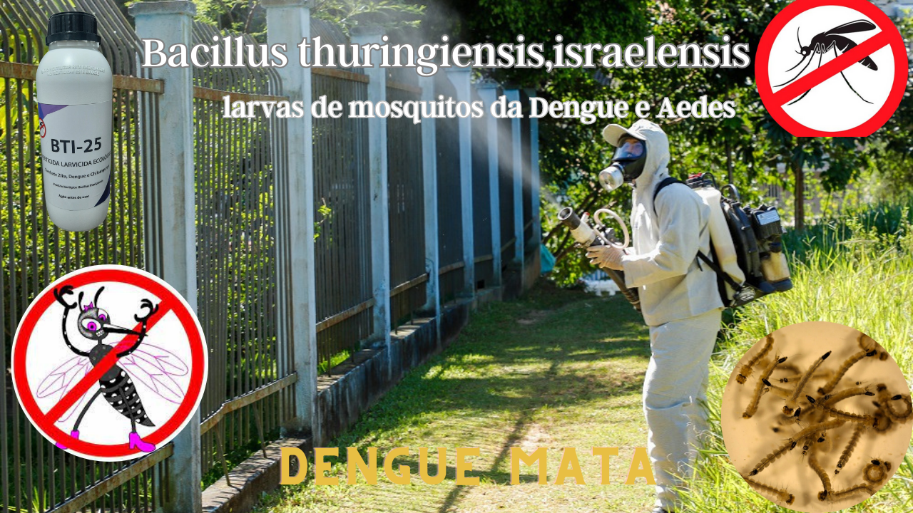 Produto Biologico para combater os Borrachudos
