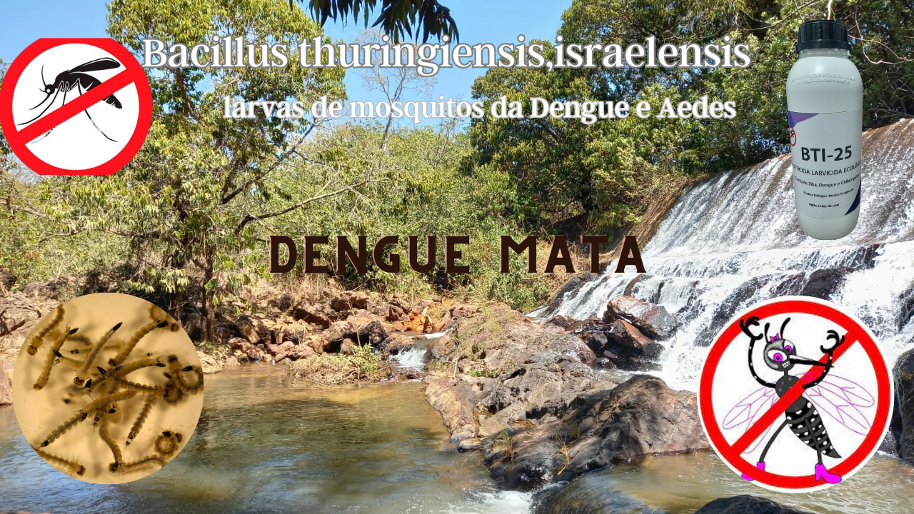 Produto Biologico para combater os Borrachudos