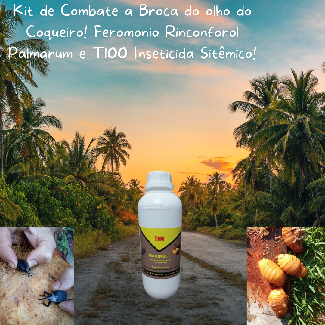 T100 produto sistêmico no combate das brocas dos coqueiros lt