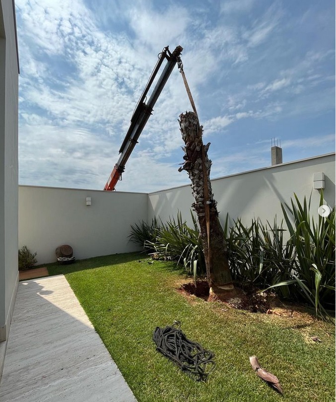 Produto para combater larvas e brocas bicudos em viveiros,jardins e jardinagem.