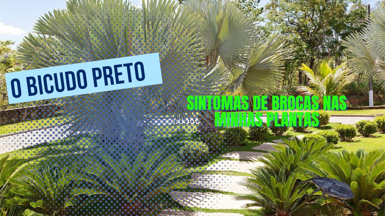 T100 produto para controle de larvas e brocas jardinagem