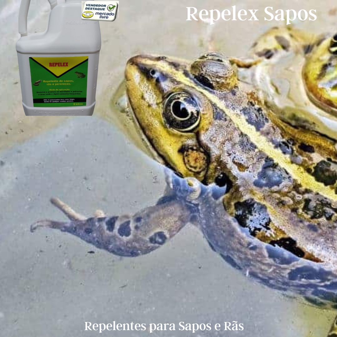 Sapos Repelente Contra Sapos E Pererecas Rãs E Outros