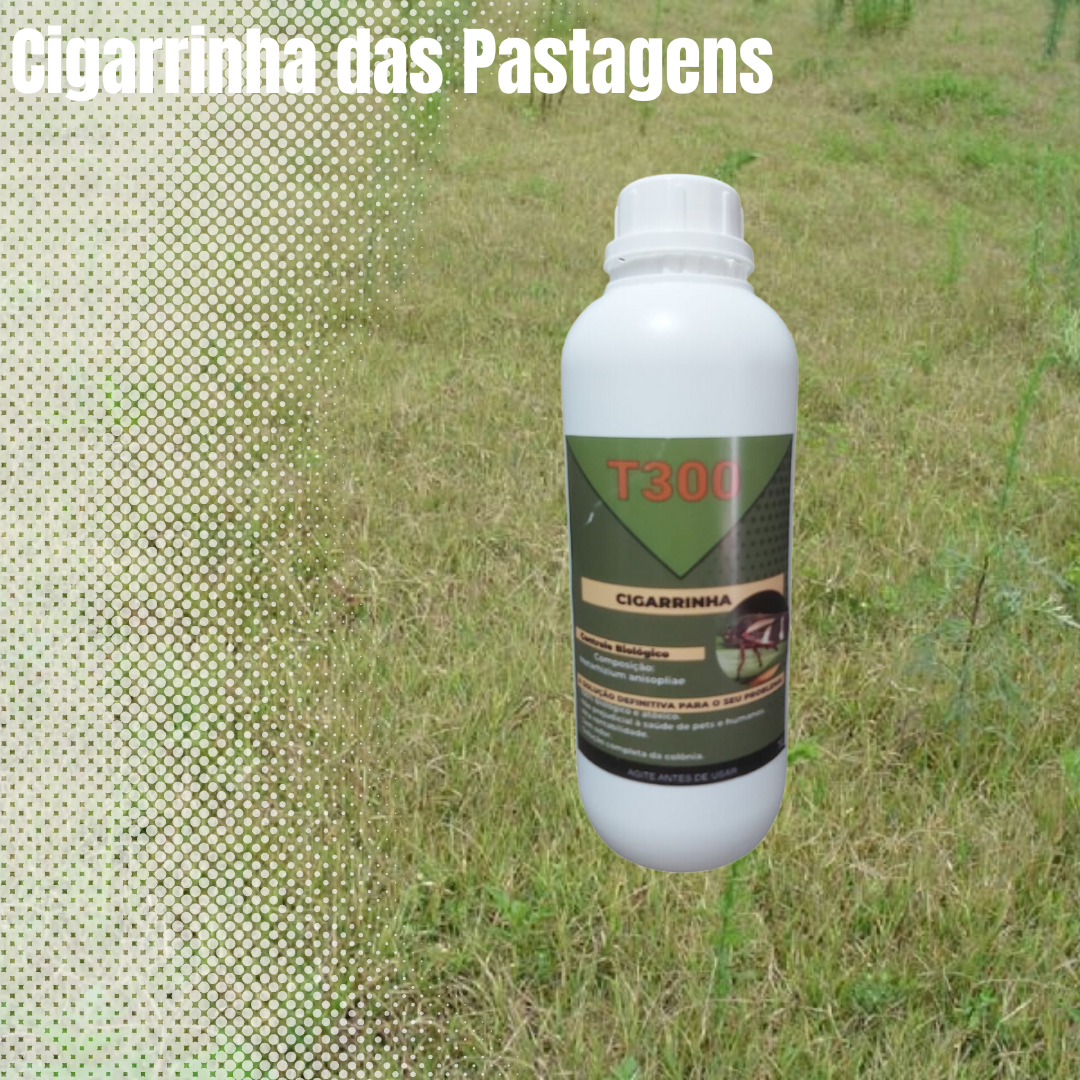 Controle Biológico Da Cigarrinha Da Pastagem lt