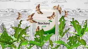 Noctovi Atrativo Alimentar Mariposas Do Soja E Outros