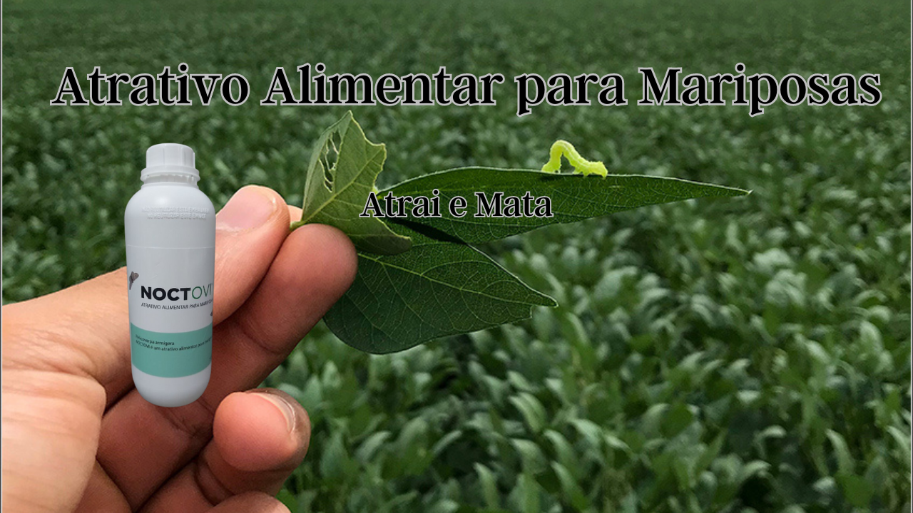 Noctovi Atrativo Alimentar Mariposas Do Soja E Outros