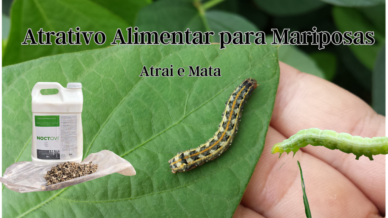 Mariposas Noctovi Atrativo Alimentar Mariposas Do Soja E Outros 5lt