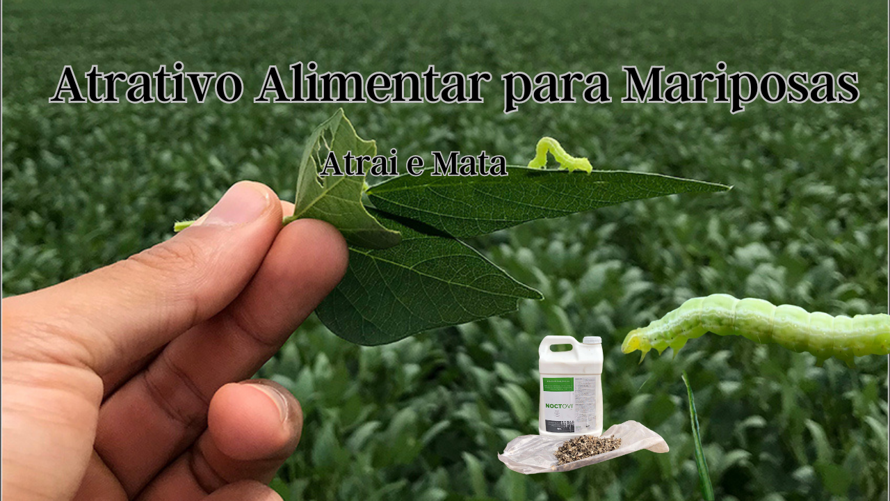 Mariposas Noctovi Atrativo Alimentar Mariposas Do Soja E Outros 5lt